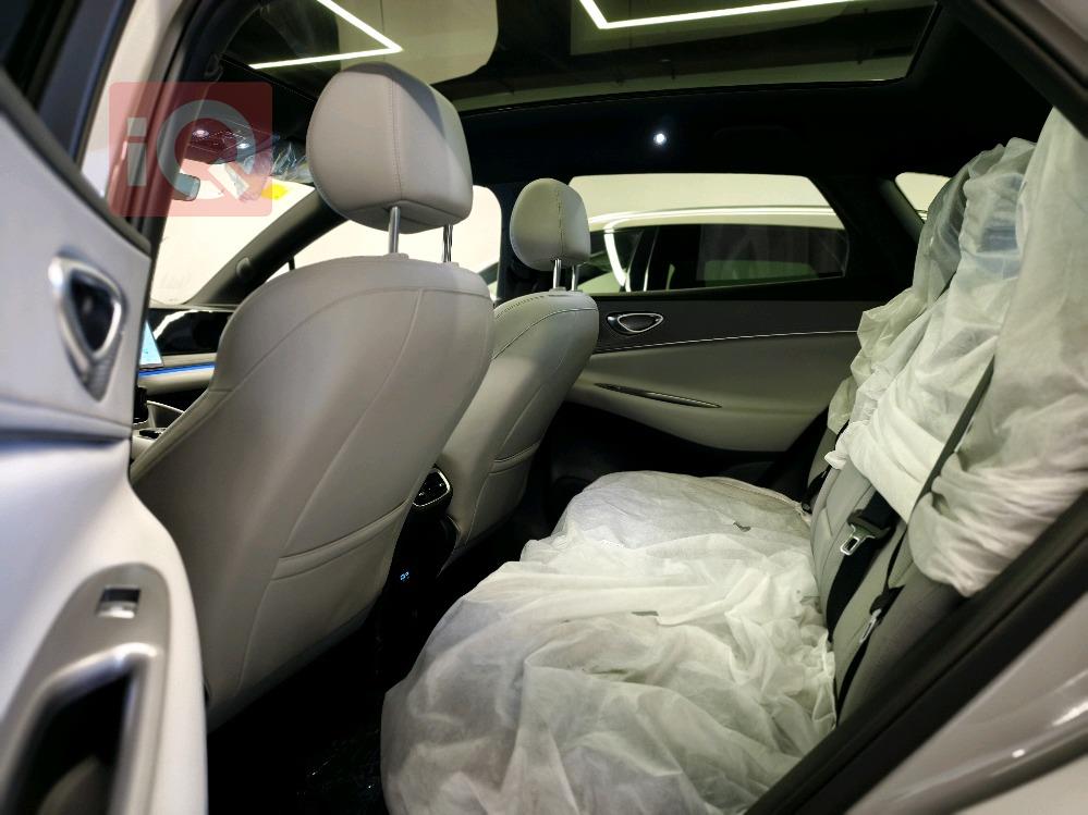 بي واي دي سيليون 06 DM-i